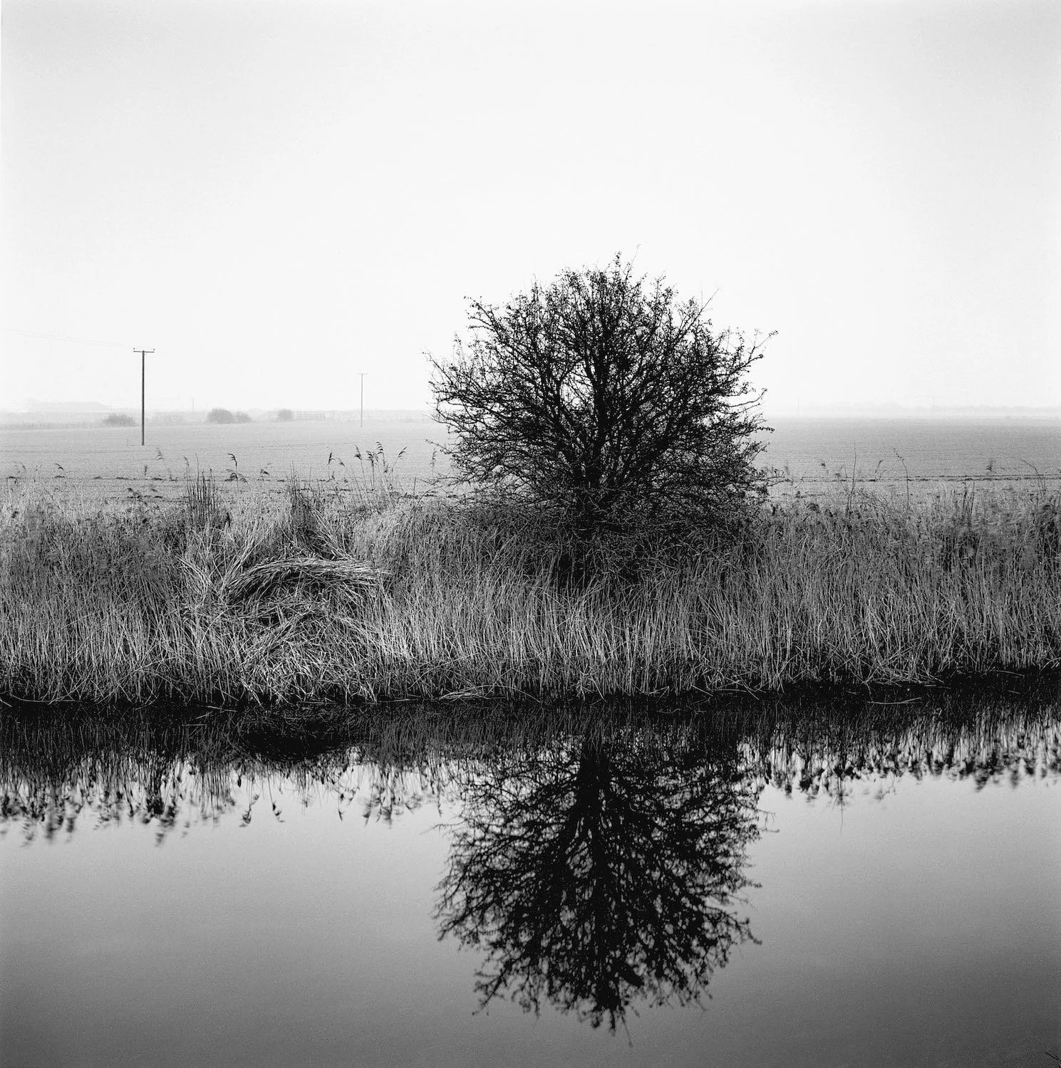 DRAINED — PAUL HART